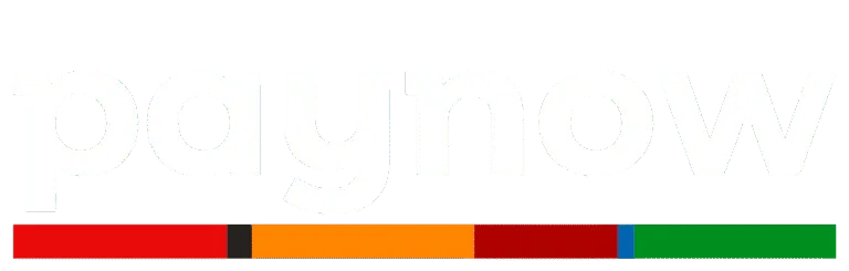 paynow - płatności online